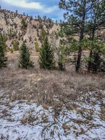 Bear Gulch Road, Drummond, MT 59832