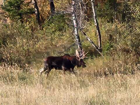 Nhn Chestnut Road, Bozeman, MT 59715