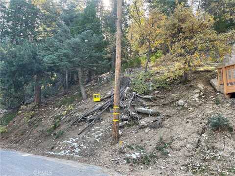 29 Lot 29 Forest Lane, Twin Peaks, CA 92391