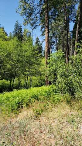 29531 Little Bear Creek Road, Cedar Glen, CA 92321