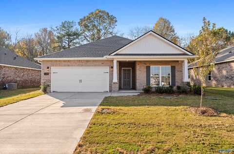 169 Fall Meadow Drive, Harvest, AL 35749