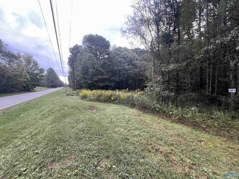 11 Acres Austinville Flint Road SW, Decatur, AL 35603