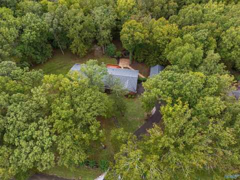 4411 Autumn Leaves Trail SE, Decatur, AL 35603