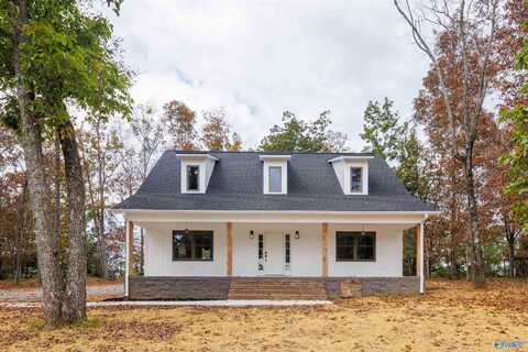 191 Scenic Drive, Section, AL 35771