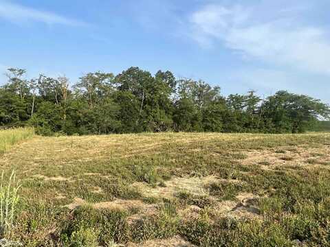 Lot 7 Pin Oaks Ln, Mount Pleasant, IA 52641