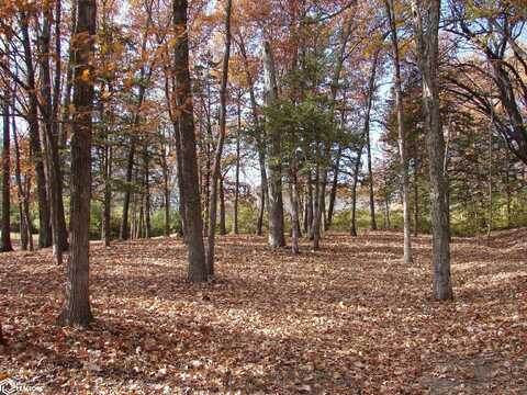 Lot 3 S Hoaglin Drive, Mount Pleasant, IA 52641