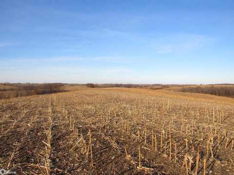 300 Acres Dewberry Avenue, Bloomfield, IA 52537