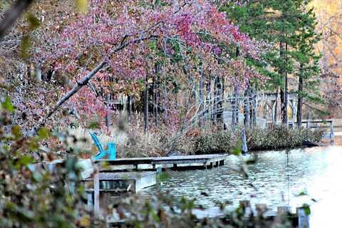 Timber Lane, Oxford, MS 38655