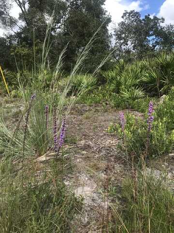 0 SUMMIT Road, Satsuma, FL 32189