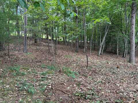 Lot 4 Maple Way, Blairsville, GA 30512