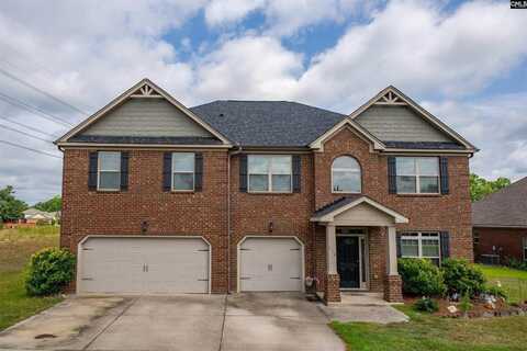 718 Rosewalk Drive, Chapin, SC 29036