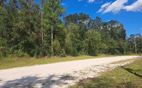 TBD SW HOMESTEAD CIRCLE, Fort White, FL 32038