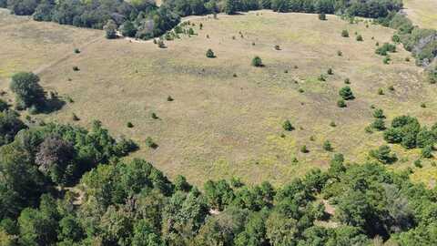 TBD Off of FM 2423, Grapeland, TX 75844