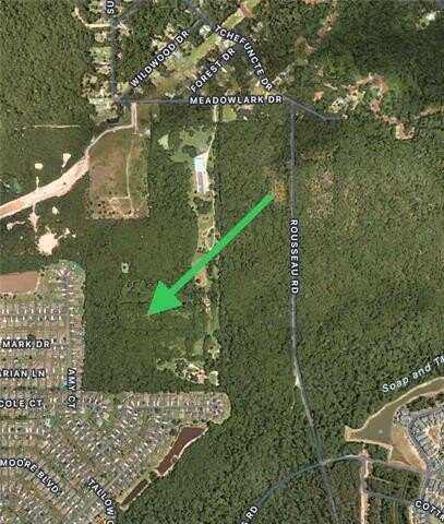 +/- 48.18 acres MEADOWLARK Drive, Covington, LA 70433