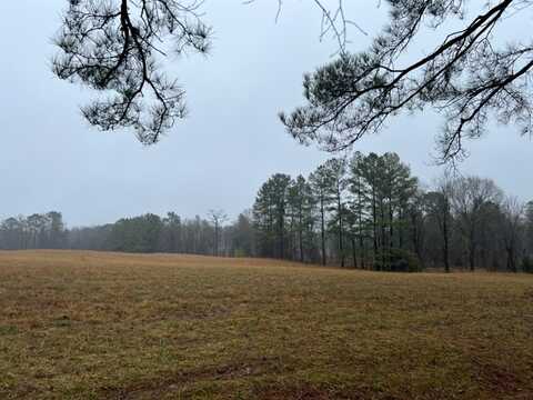 Tbd County Road 3121, Clarksville, TX 75426