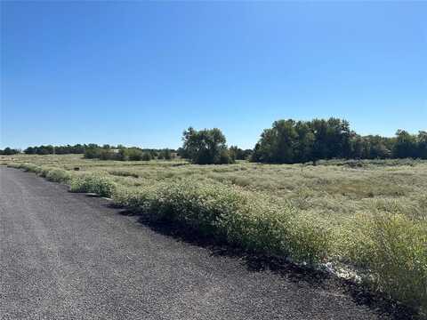 Lot 28 Willow Road, Celeste, TX 75423