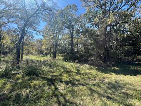 1350 Sandrock Trail, Whitney, TX 76692