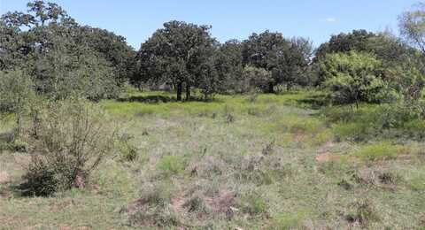 15 Ac. Tbd,Tract 5 County Road 195, Gorman, TX 76454