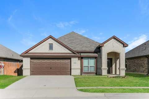 2540 Old Buck Drive, Weatherford, TX 76087