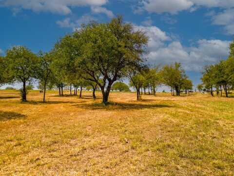 1060 Woodland Road, Weatherford, TX 76088