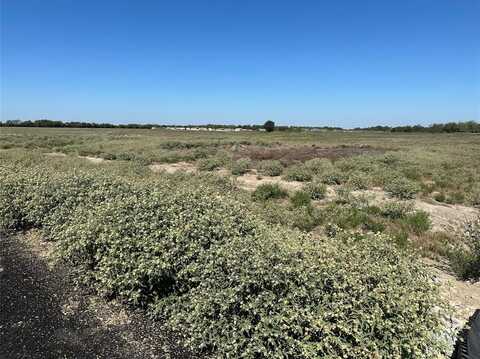 Lot 9 Willow Road, Celeste, TX 75423