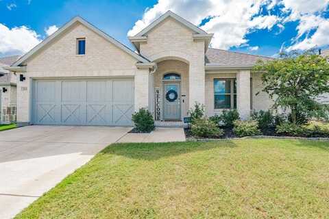 224 Chase Creek Drive, Lavon, TX 75166