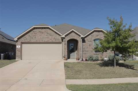 916 Evergreen Street, Princeton, TX 75407