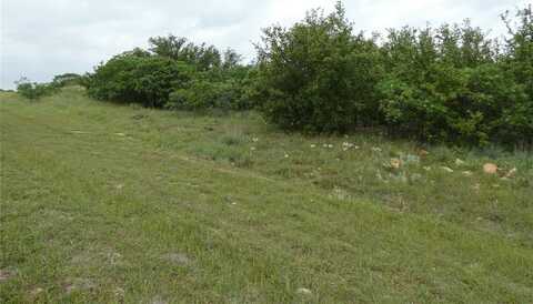 Lot 294 Shooting Star Court, Graford, TX 76449