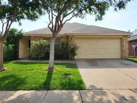 8517 Prairie Fire Drive, Fort Worth, TX 76131