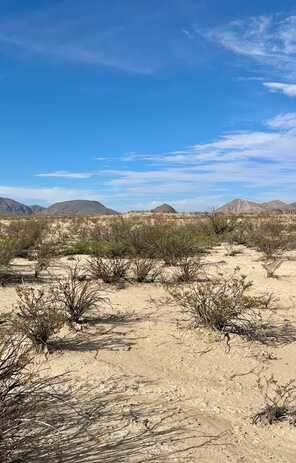 SEC 20 Private Rd, Terlingua, TX 79852