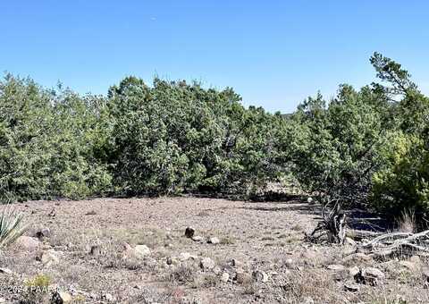 Lot 1173 N Wonderland Way, Seligman, AZ 86337
