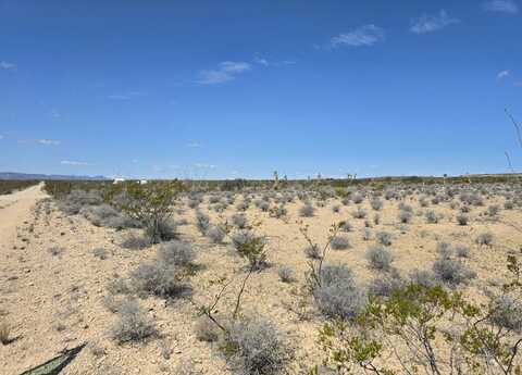 90 Stringfellow Rd, Terlingua, TX 79852
