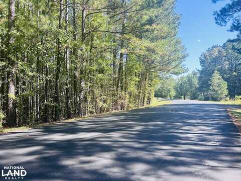 0 Williamson Road, Tallapoosa, GA 30176