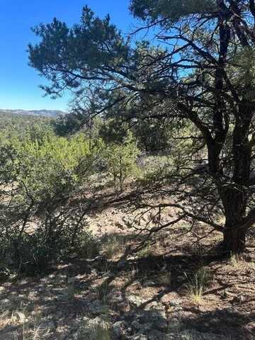 00 Lookout Cir, Datil, NM 87821