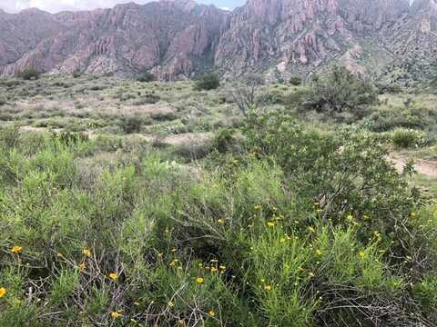 East Cielo Vista,, Terlingua, TX 79852