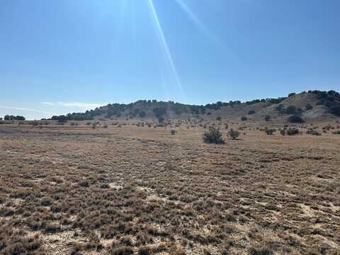 TBD 40AC Las Animas Ranches, Delhi, CO 81059