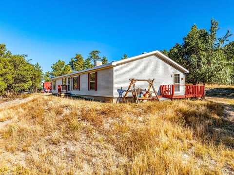 839 19th Trail, Cotopaxi, CO 81223