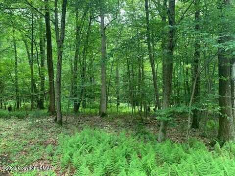 Lot B127 Sandalwood Road&Sandalwood Cir Circle, Jim Thorpe, PA 18229