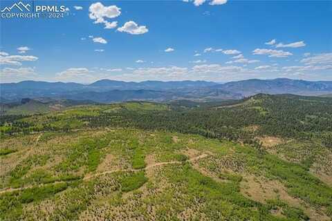 Unit 4 County Road 51, Florissant, CO 80816