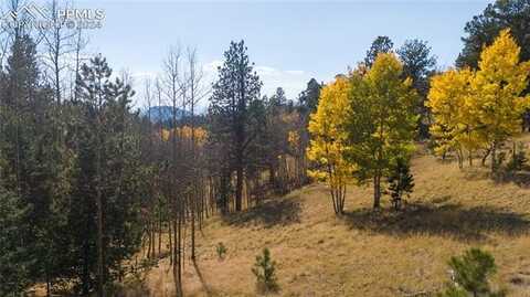 1734 May Queen Drive, Cripple Creek, CO 80813