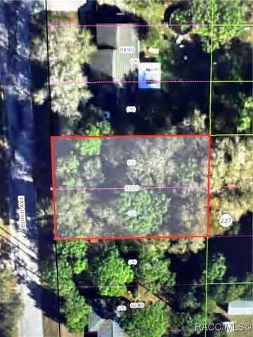 undefined, Inverness, FL 34452