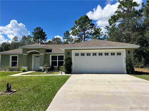 9572 N Emellia Avenue, Citrus Springs, FL 34433