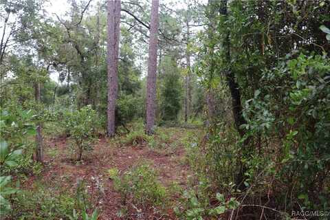 00 NW BEUNA VISTA Road, Dunnellon, FL 34431