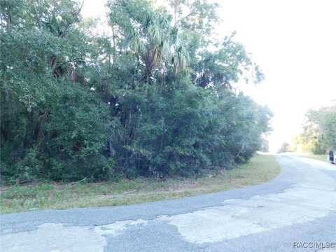 11917 N Captiva Terrace, Dunnellon, FL 34433