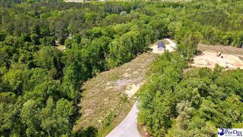 Lot 4 Green St, Chesterfield, SC 29709