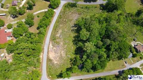 Lot 6 Trotti Ave, Chesterfield, SC 29709