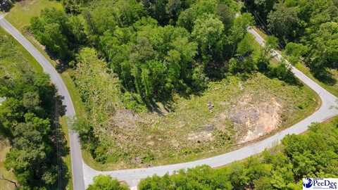 Lot 5 Trotti Ave, Chesterfield, SC 29520