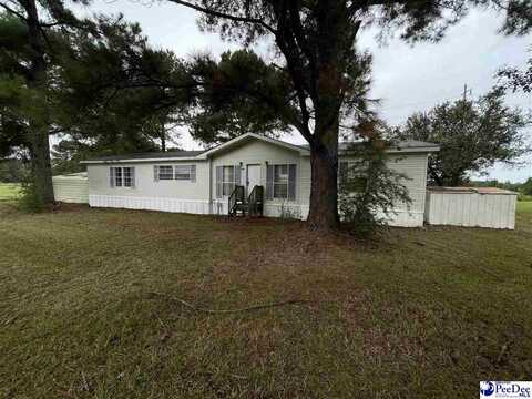 1910 Rocky Place, Dillon, SC 29526