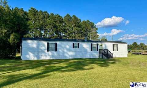 404 Jessamine Road, Marion, SC 29574