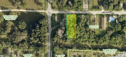 1009 Lincoln Street, Fellsmere, FL 32948